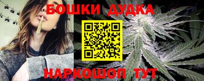 мдпв Пушкино