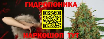 ALPHA PVP Пугачёв