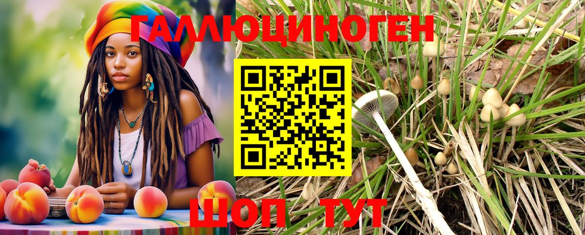 Галлюциногенные грибы MAGIC MUSHROOMS Семёнов